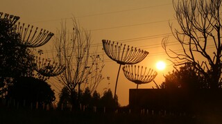 绿地广清产业园会展中心景观软装