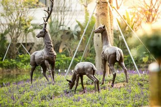 池沁水明，临溪寻踨—华发山庄临溪景观